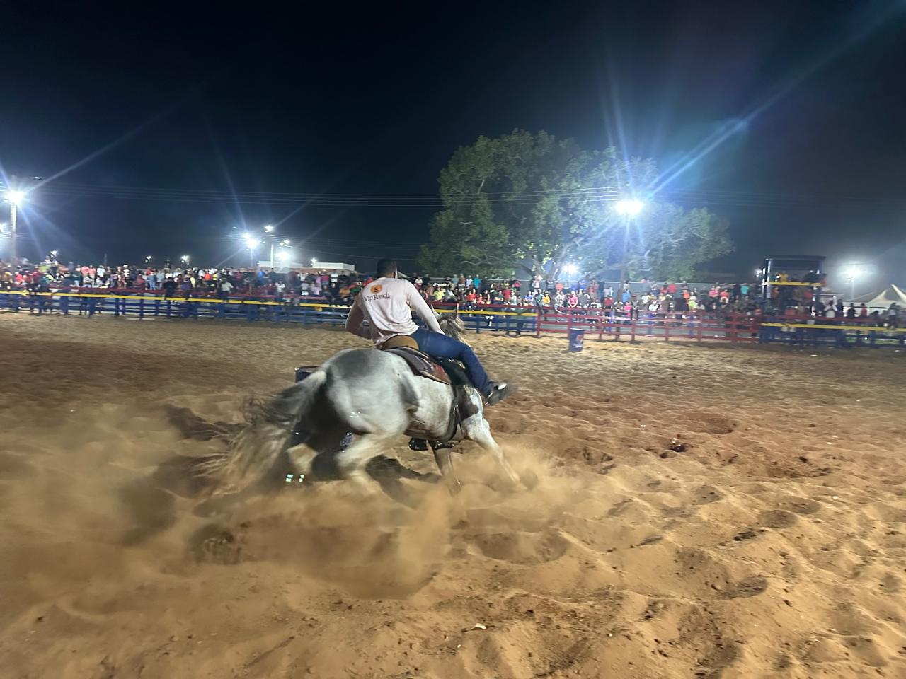 Foto 9 – Inauguração do Parque Sumarico Santos: Uma Celebração da Tradição e Cultura de Buriti Bravo.